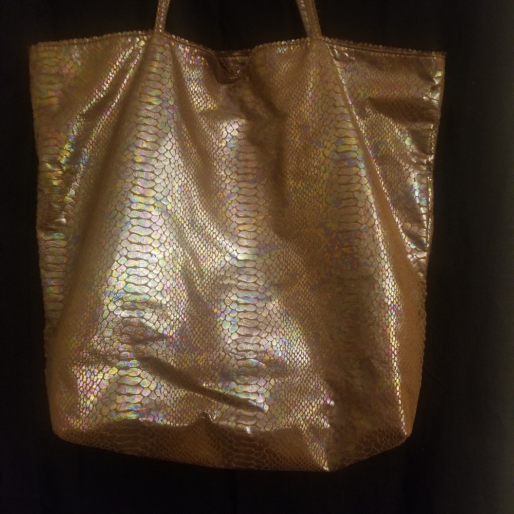 Carlos falchi hobobag